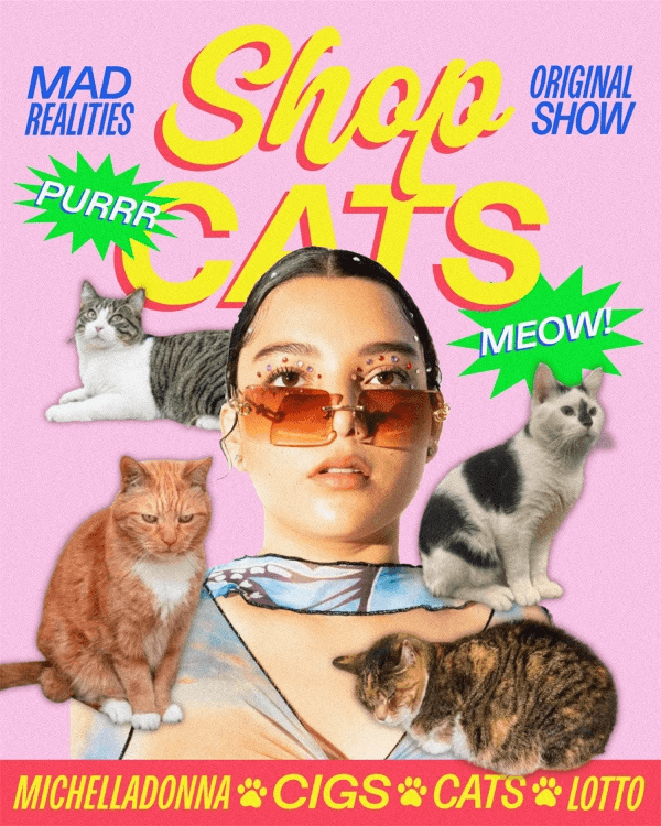 Shop Cats