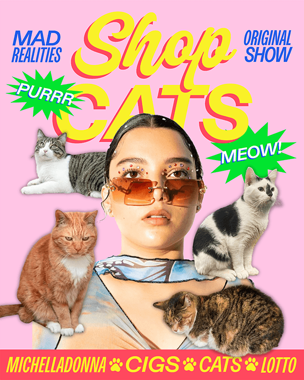 Shop Cats